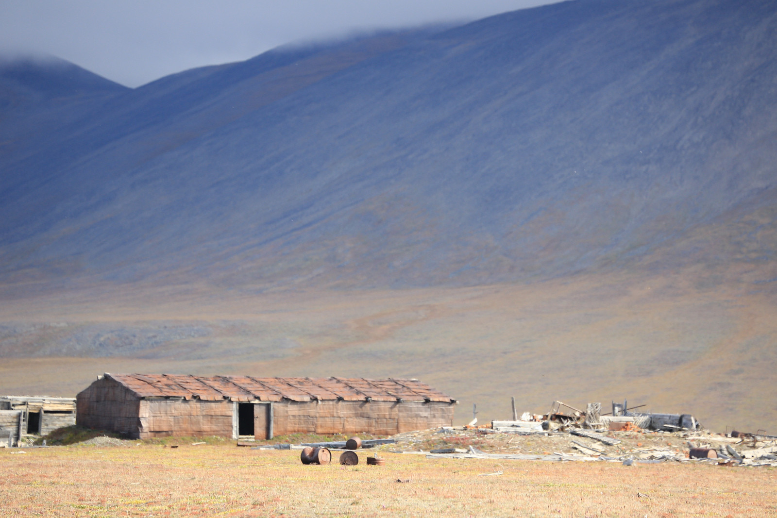 Остров Врангеля на Чукотке – фотографии России