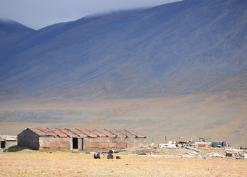 Остров Врангеля на Чукотке – фотографии России