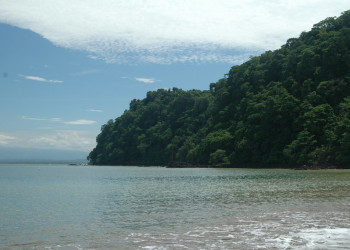 Пунта Леона, Пунтаренас провинция, Коста-Рика, фото № 41039 – фотографии Коста-Рики