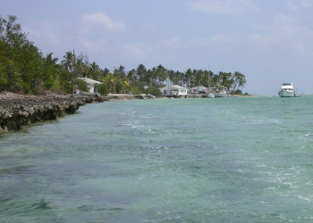 Берега на острове Андрос, Багамские острова. Фото 4 – фотографии Багамских островов