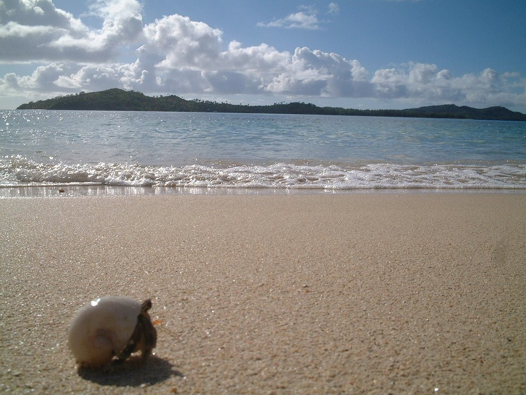 Тавева остров, Ясава группа островов, Фиджи, фото № 50347 – фотографии Фиджи