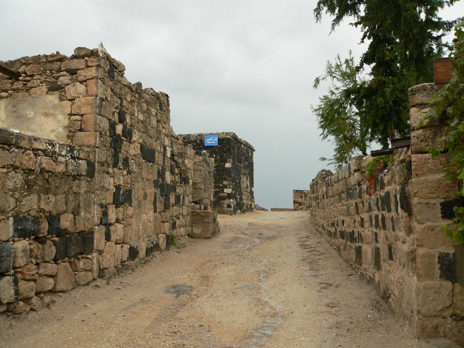 Умм Каис, Иордания, фото № 37396 – фотографии Иордании