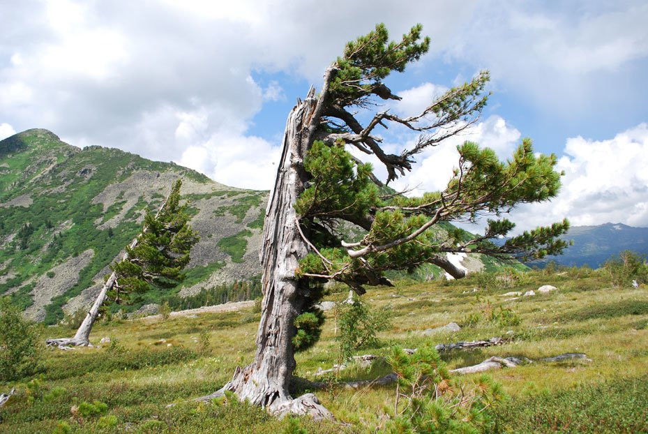 Национальный парк, Россия. Фото 5 – фотографии России