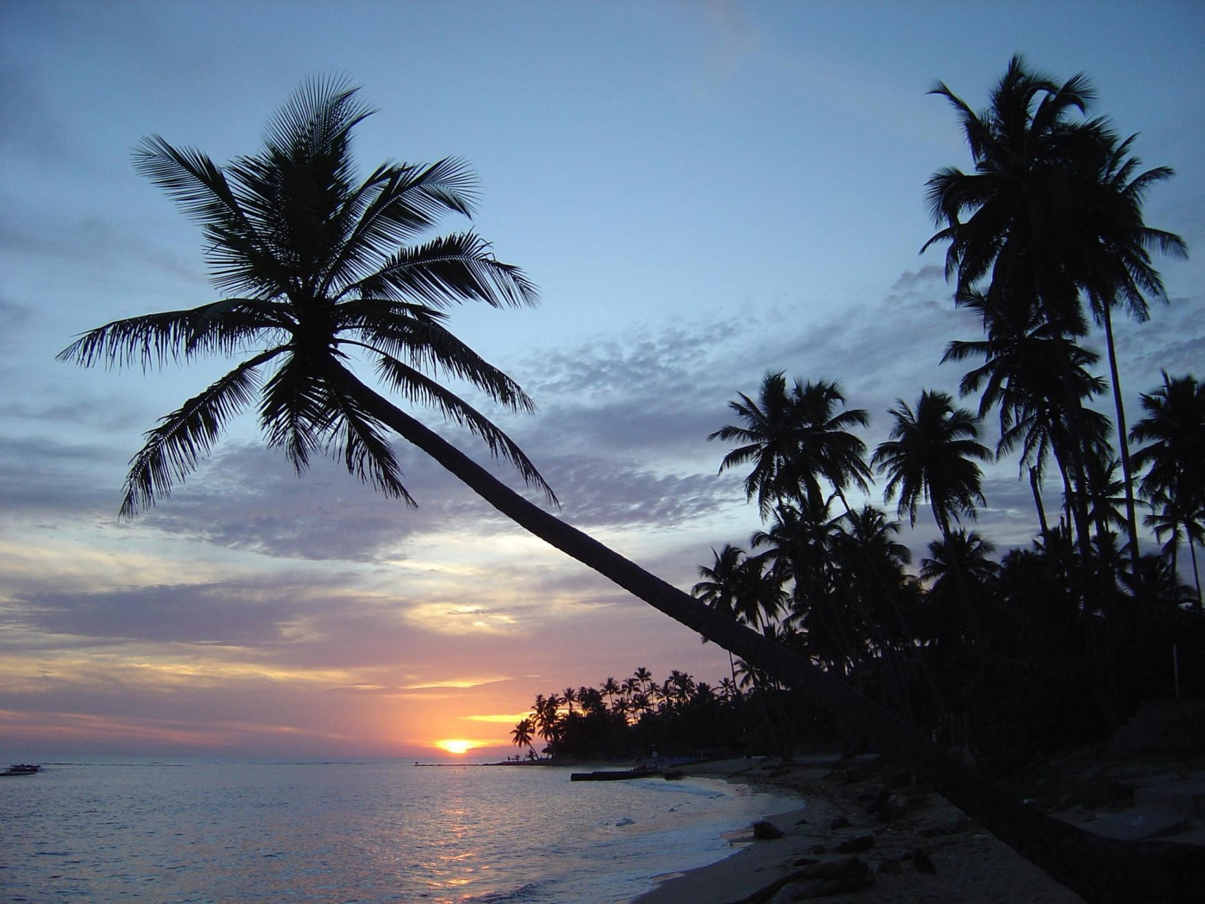 Хуан-Долио, Доминикана, фото № 30737 – фотографии Доминиканы