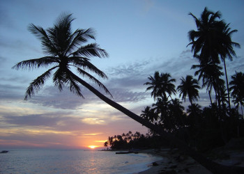 Хуан-Долио, Доминикана, фото № 30737 – фотографии Доминиканы