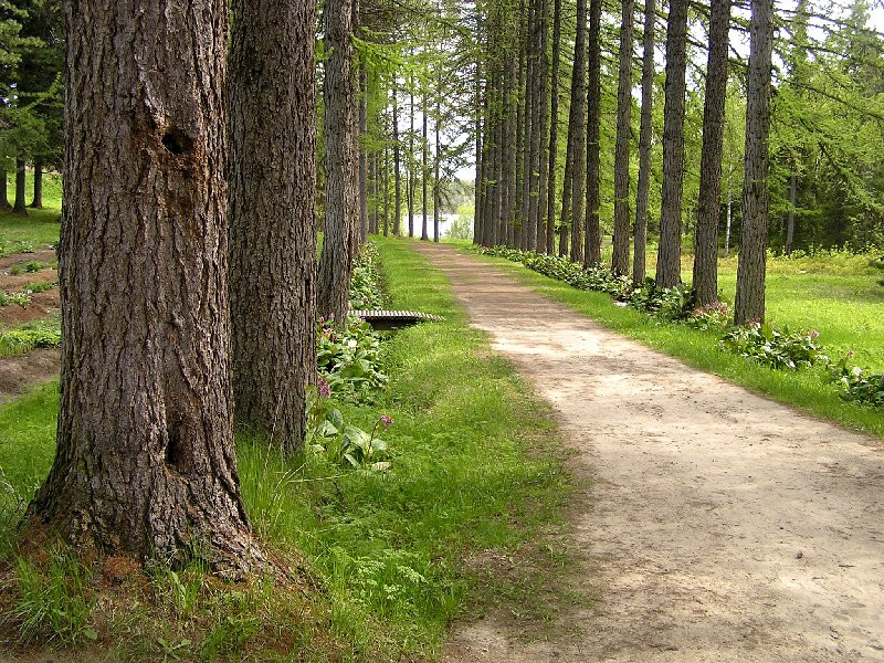 Ботанический сад на Большом Соловецком острове – фотографии России