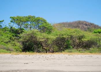 Санта Роза Национальный Парк, Гуанакасте провинция, Коста-Рика, фото № 39337 – фотографии Коста-Рики