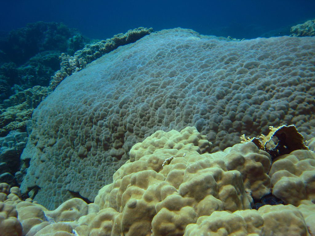 Сафага, Египет, фото № 35375 – фотографии Египта