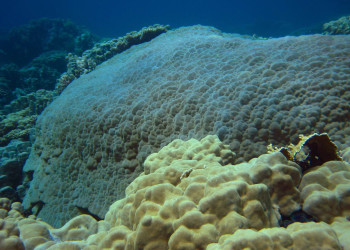 Сафага, Египет, фото № 35375 – фотографии Египта