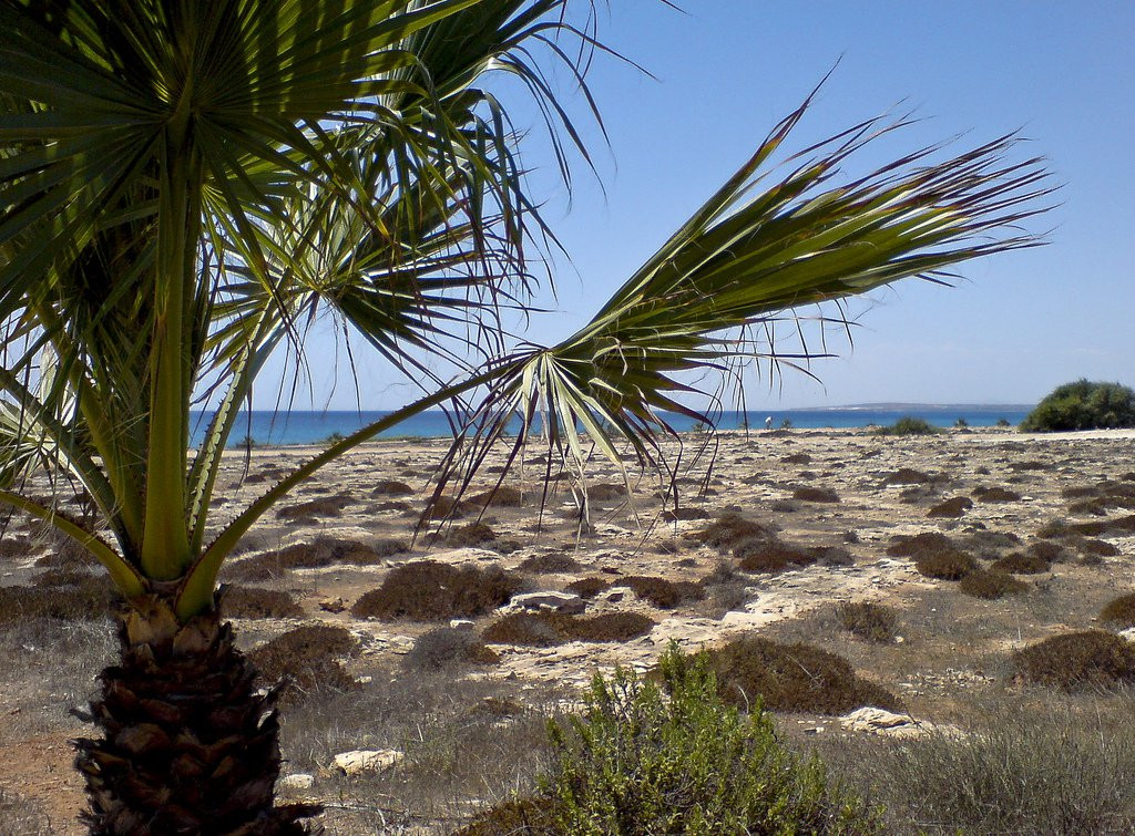 Айя-Напа, Кипр, фото № 37489 – фотографии Кипра