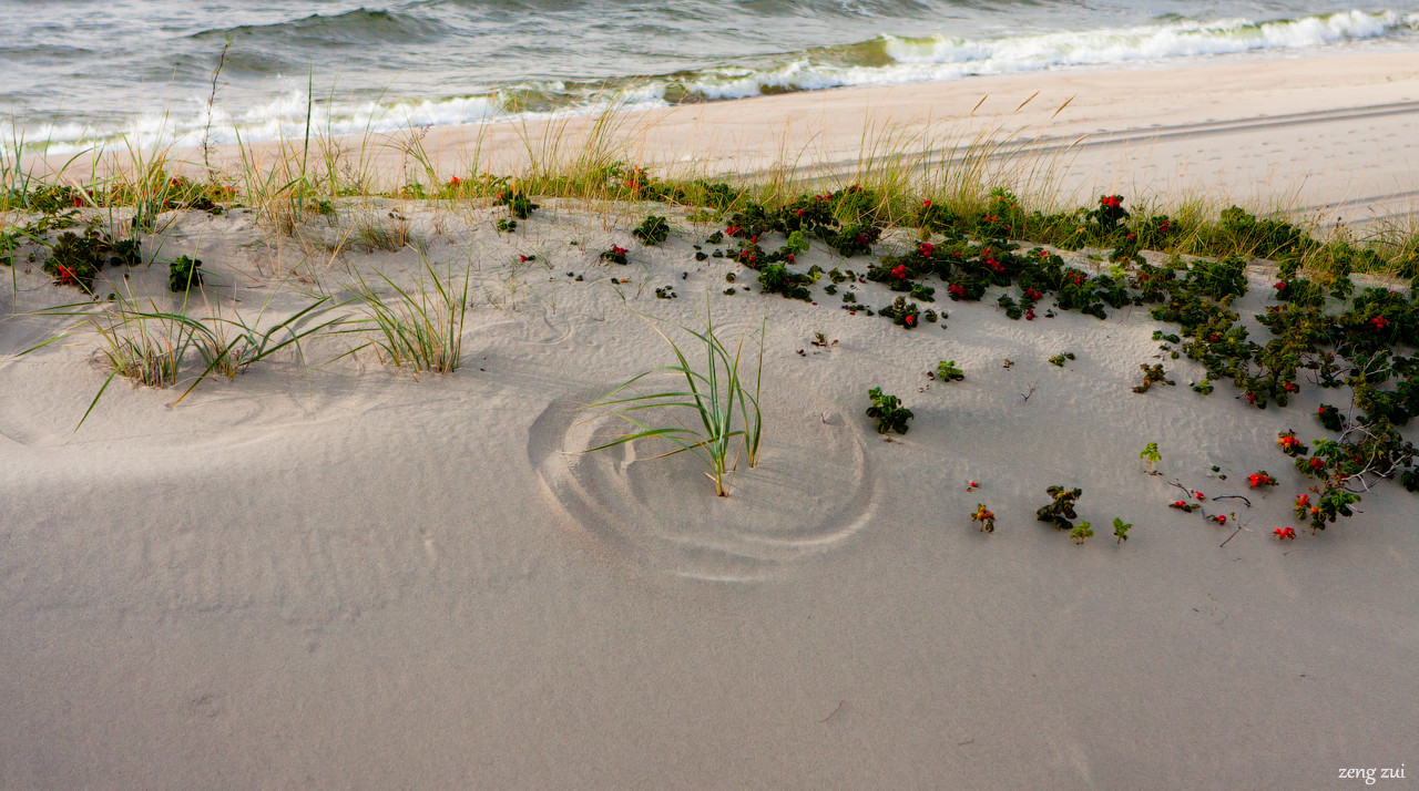 Балтийская коса, Россия. Фото 8 – фотографии России