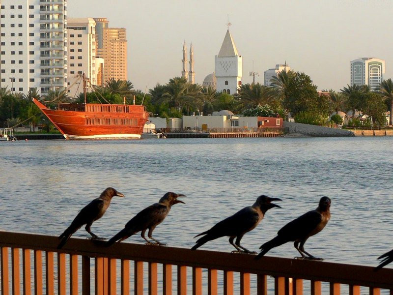 Шарджа, ОАЭ, фото № 61254 – фотографии ОАЭ