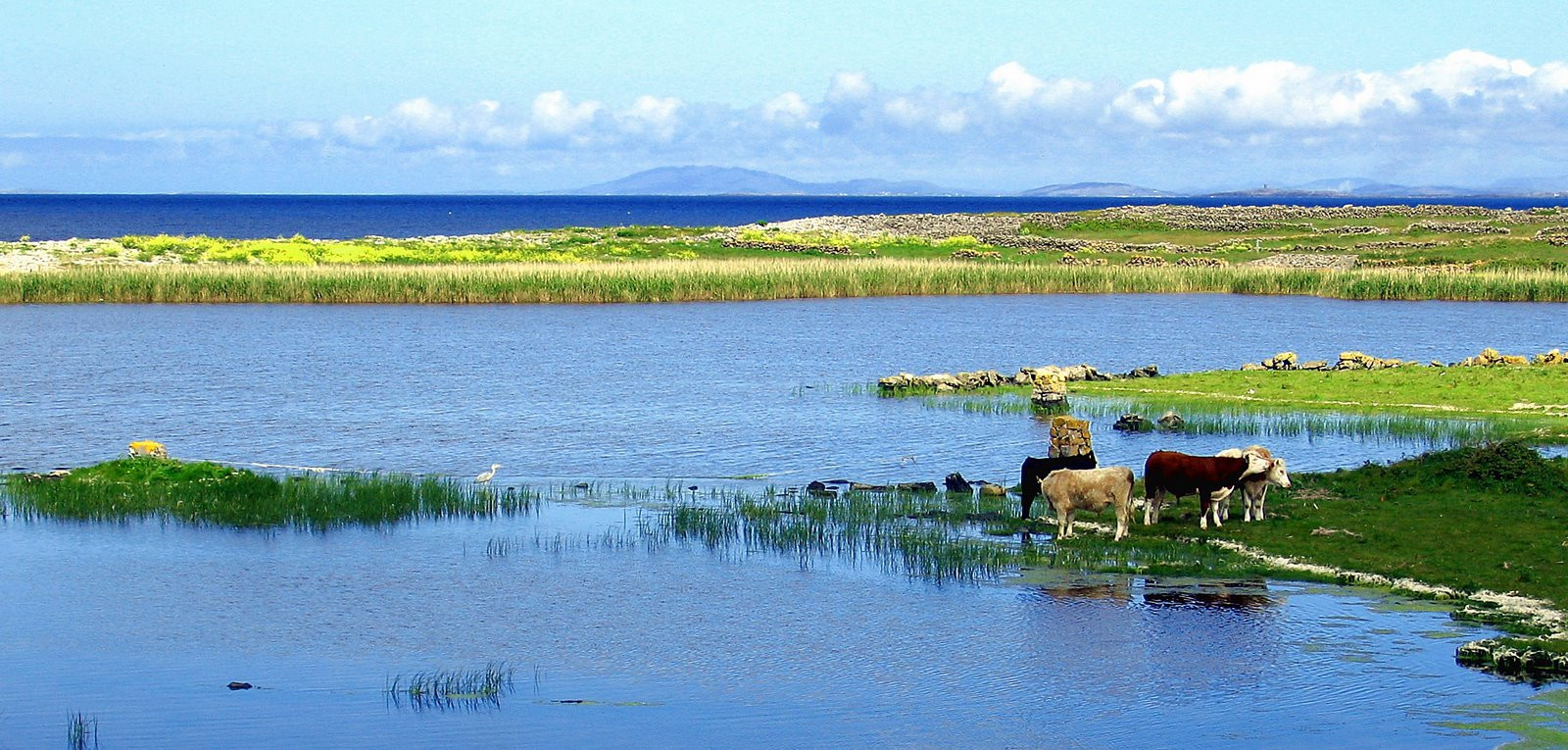 Ирландия, фото № 2565 – фотографии Ирландии