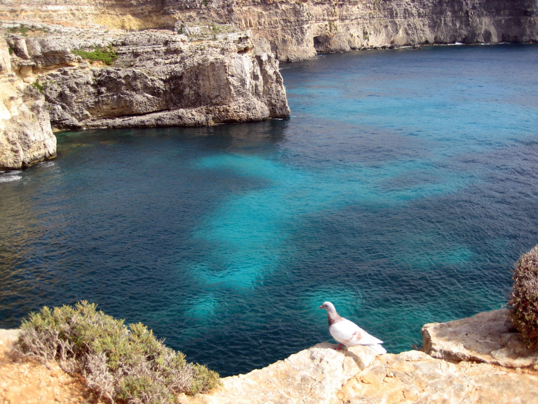 Комино остров, Мальта, фото № 41806 – фотографии Мальты