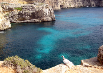 Комино остров, Мальта, фото № 41806 – фотографии Мальты