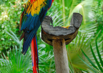 Мексика, фото № 968 – фотографии Мексики