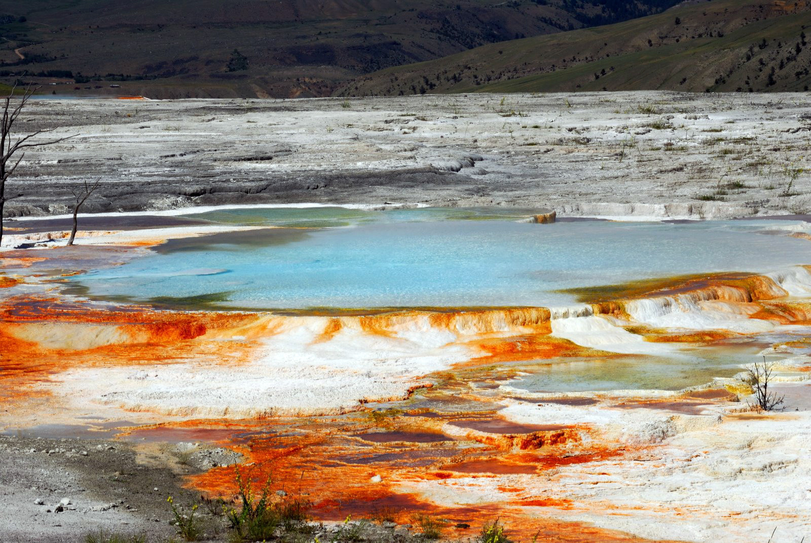 Национальный парк Йеллоустон. Фото 2 – фотографии США