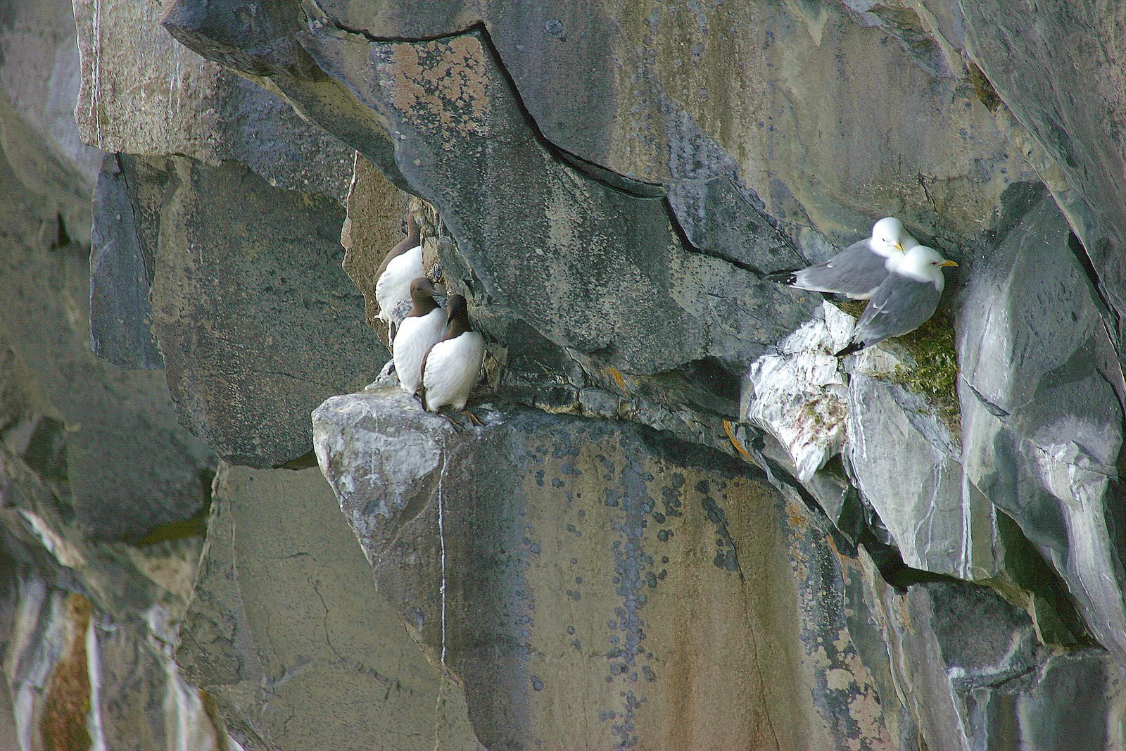 Ирландия, фото № 2579 – фотографии Ирландии