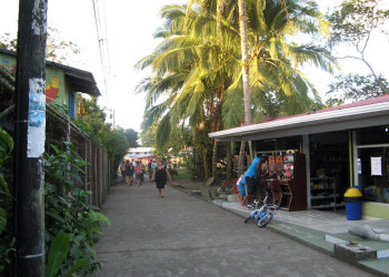 Тортугеро, Лимон провинция, Коста-Рика, фото № 40288 – фотографии Коста-Рики