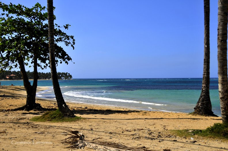 Самана, Доминикана, фото № 30612 – фотографии Доминиканы