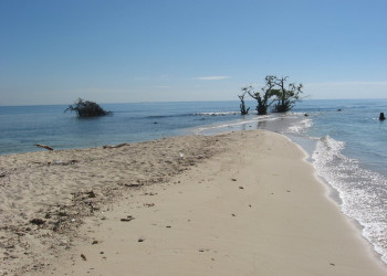 Море в Лайм Кей, Ямайка. Фото 7 – фотографии Ямайки