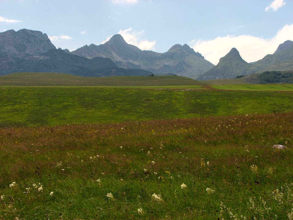 Поле в Дурмитор, Черногория. Фото 1 – фотографии Черногории