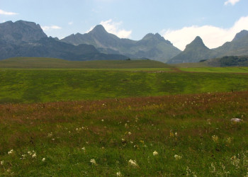 Поле в Дурмитор, Черногория. Фото 1 – фотографии Черногории