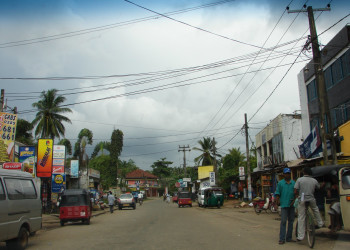 Ваддува, Шри-Ланка, фото № 50778 – фотографии Шри-Ланки