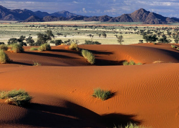 Пустыня Намиб. Фото 13 – фотографии Намибии