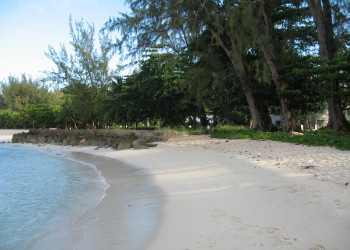 Rockley Beach, South Coast, Barbados – фотографии Барбадоса