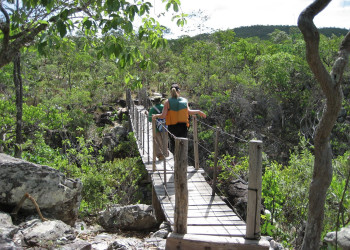 Шапада-дус-Веадейрус Национальный Парк, Бразилия, фото № 60571 – фотографии Бразилии