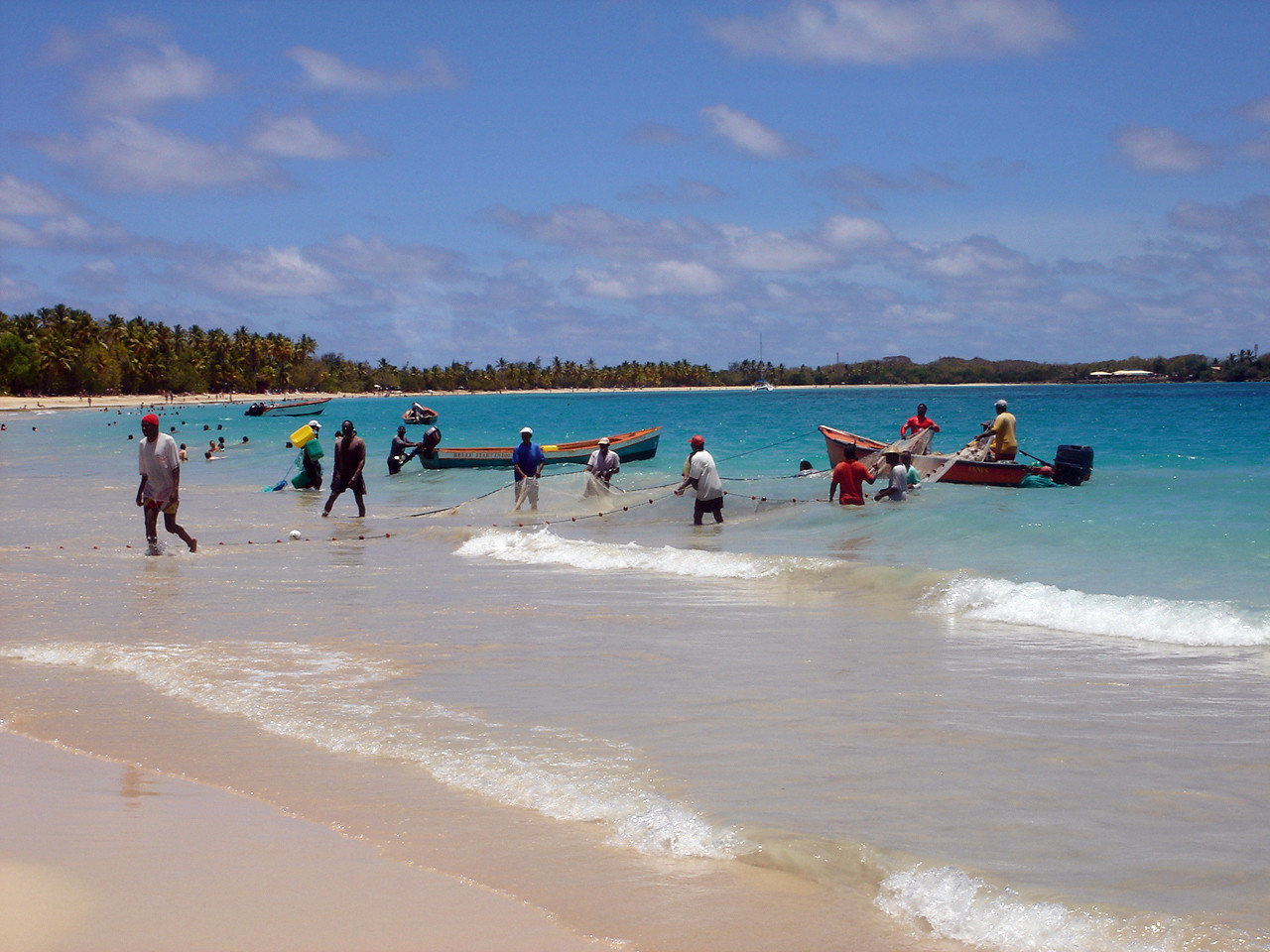 Пляж Лес-Салинес (Les Salines) на острове Мартиника – фотографии Мартиники