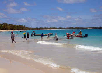 Пляж Лес-Салинес (Les Salines) на острове Мартиника – фотографии Мартиники