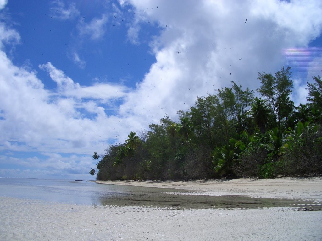 Остров Альфонс – фотографии Сейшельских островов