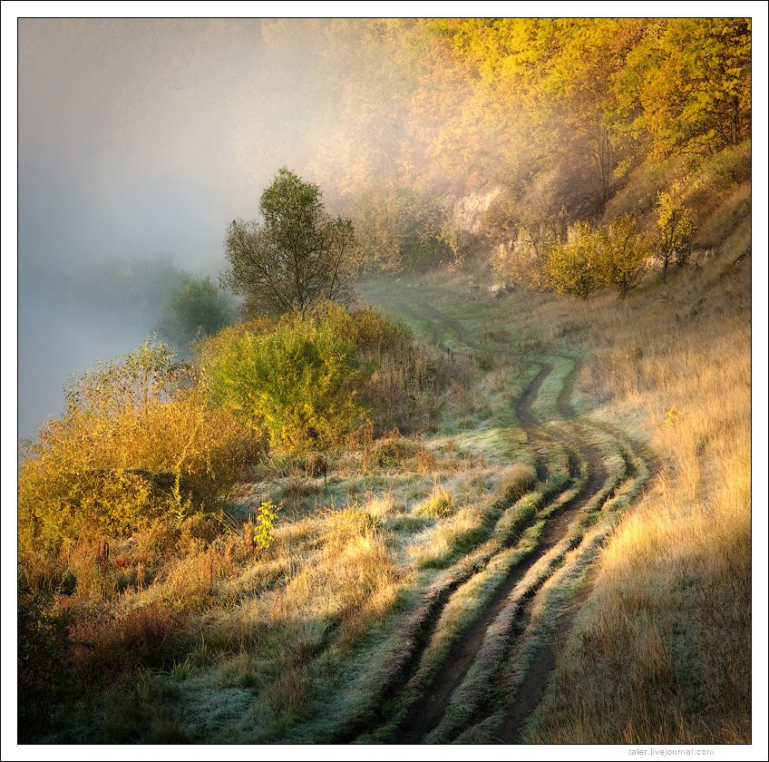 Природа в Киржаче, Россия. Фото 10 – фотографии России