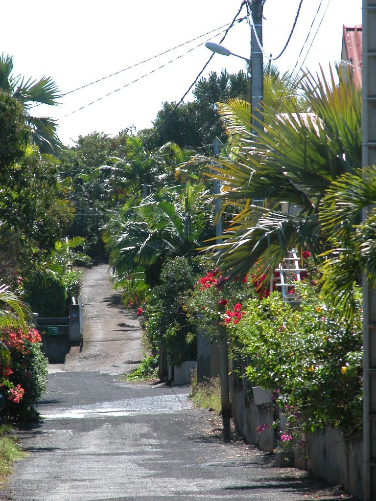 Сен-Пьер, остров Реюньон. Фото 35 – фотографии Реюньона