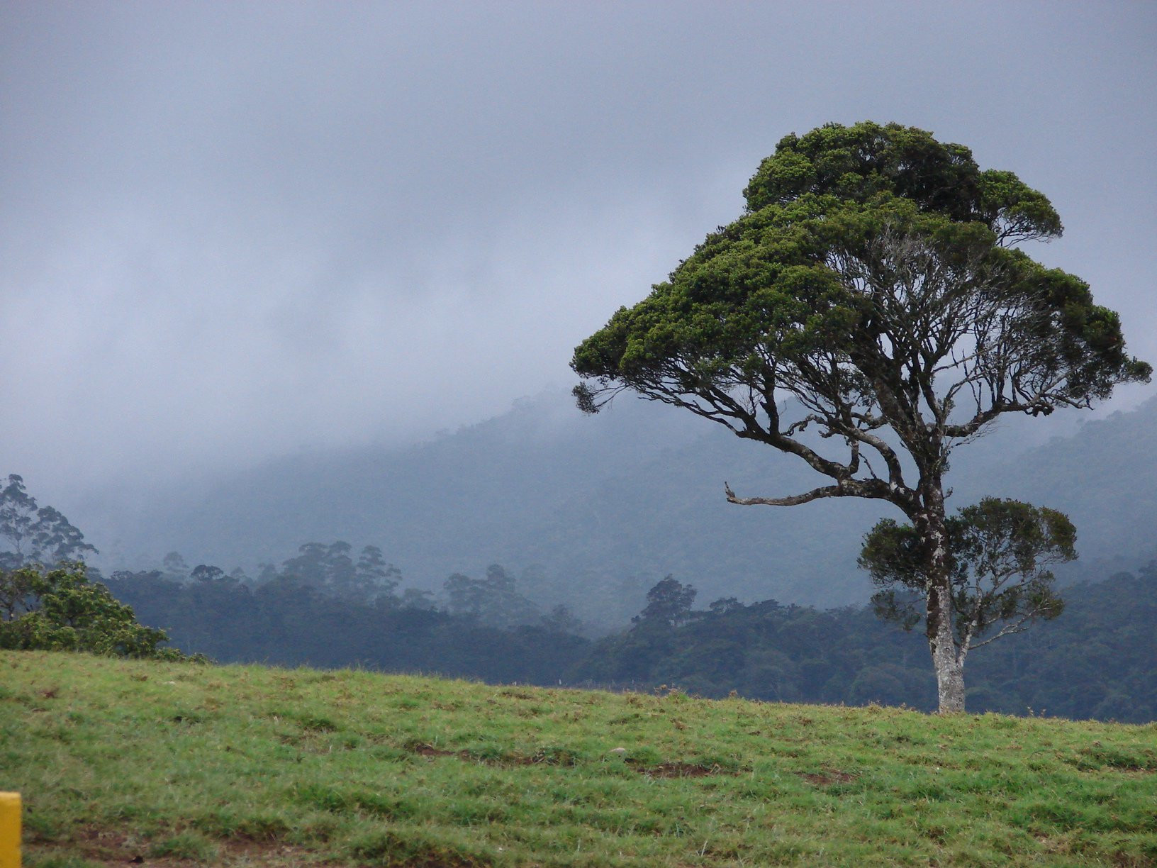 Нувара Элия, Шри-Ланка, фото № 52007 – фотографии Шри-Ланки