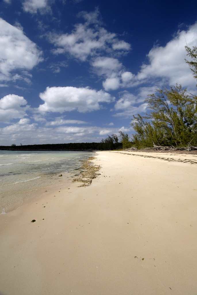 Пляжна острове Эльютера, Багамские острова. Фото 27 – фотографии Багамских островов