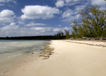 Пляжна острове Эльютера, Багамские острова. Фото 27 – фотографии Багамских островов