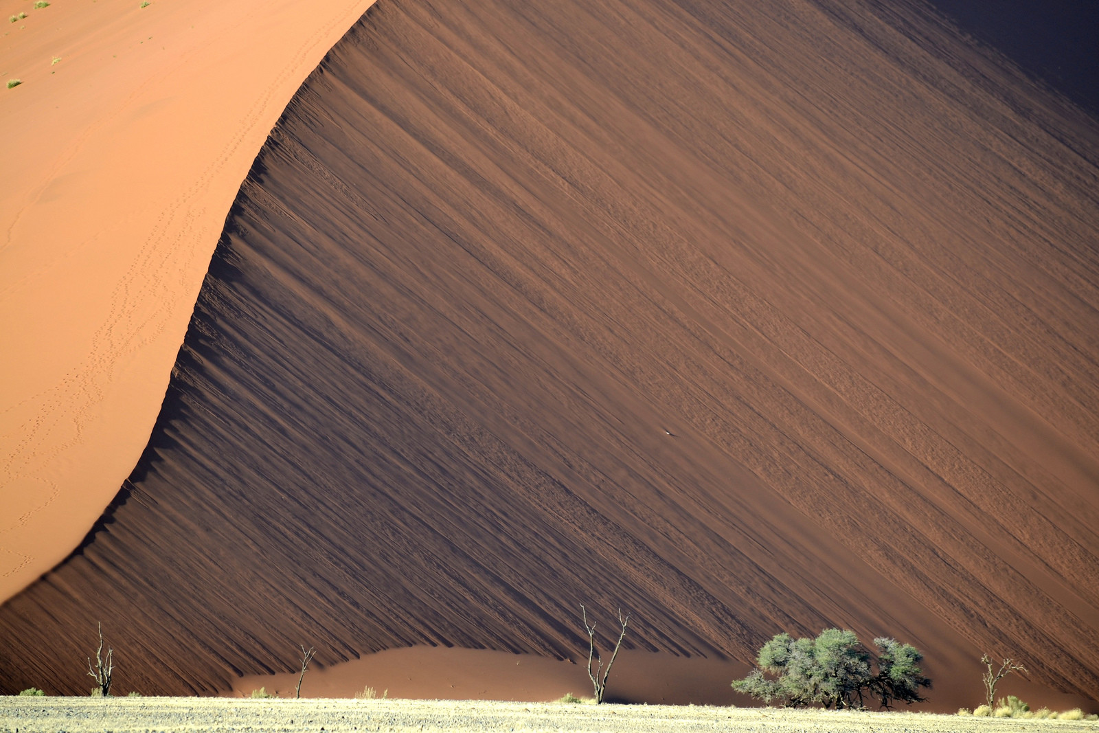 Пустыня Намиб (Namib Desert) – фотографии Намибии
