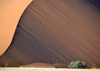 Пустыня Намиб (Namib Desert) – фотографии Намибии