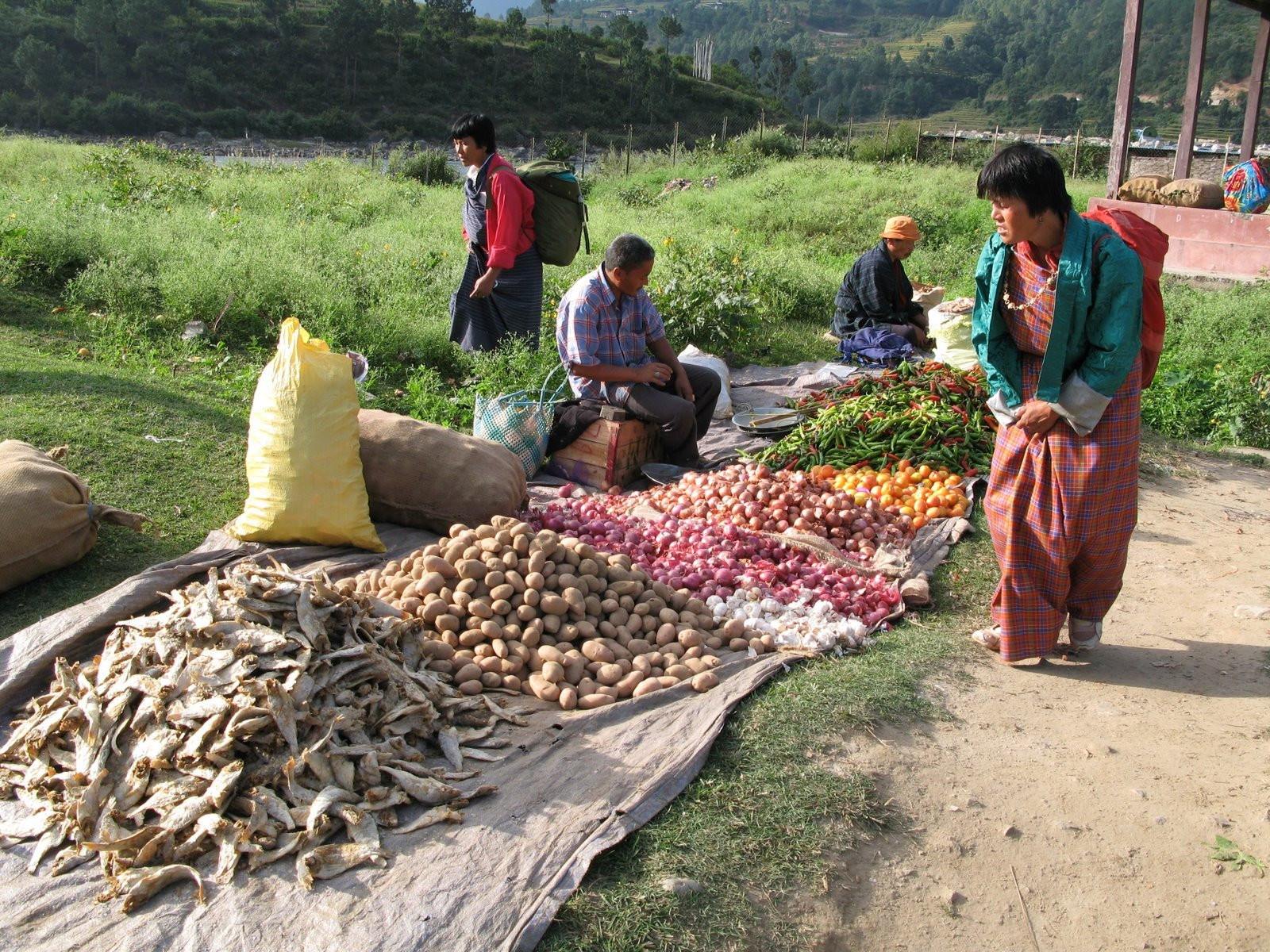 Пунакха, Бутан, фото № 75801 – фотографии Бутана