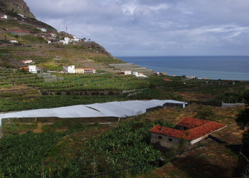 Эрмигва, Ла-Гомера остров, Канарские острова, фото № 31753 – фотографии Канарских островов