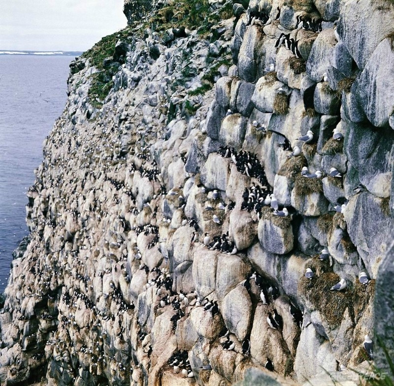 Мыс Монати – фотографии России