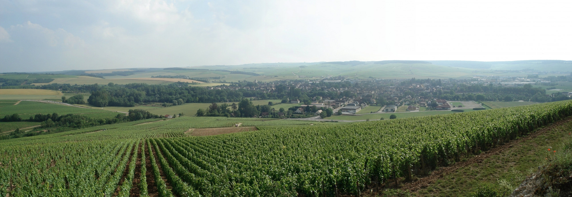 Плантации в Шабли, Франция. Фото 5 – фотографии Франции