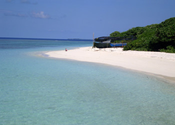 Пляж в Хаа Даалу Атолл, Мальдивы – фотографии Мальдивских островов