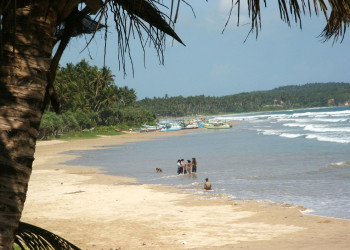Велигама, Шри-Ланка, фото № 50836 – фотографии Шри-Ланки