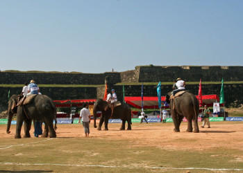 Галле, Шри-Ланка, фото № 50912 – фотографии Шри-Ланки