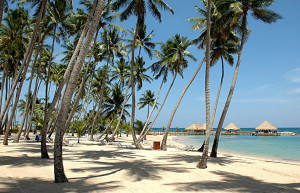 Хуан-Долио, Доминикана, фото № 30761 – фотографии Доминиканы