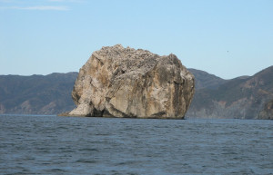 Санта Роза Национальный Парк, Гуанакасте провинция, Коста-Рика, фото № 39347 – фотографии Коста-Рики